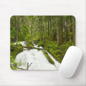 Little Zig Zag Herfsten | Nationaal bos van de Hoo Muismat (Met muis)