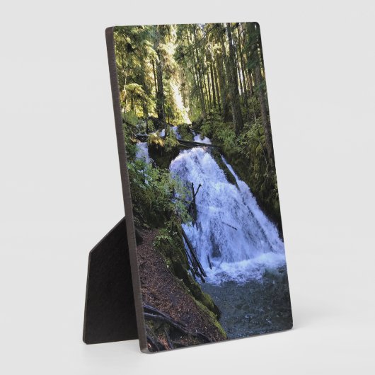 Little Zigzag Falls, OR Fotoplaat (Zijkant)