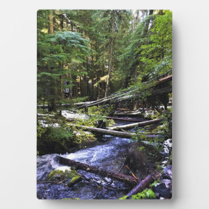 Little Zigzag River, OF Fotoplaat