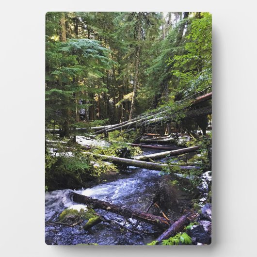 Little Zigzag River, OF Fotoplaat (voorkant)