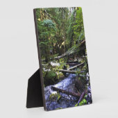 Little Zigzag River, OF Fotoplaat (Zijkant)