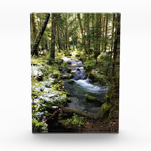 Little Zigzag River, Oregon Fotoblokken (Voorkant)