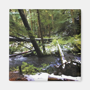 Little Zigzag River, Oregon Magneet