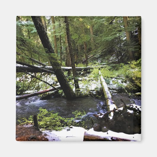 Little Zigzag River, Oregon Magneet (Voorkant)