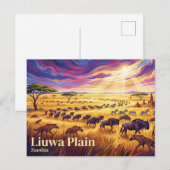 Liuwa Plain National Park Zambia Briefkaart (Voorkant / Achterkant)