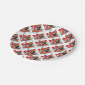 LIVE-2-RIDE-BMX PAPIEREN BORDJE (Gekanteld)