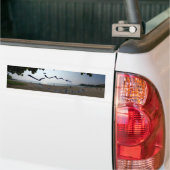 Live Aloha Bumpersticker (Op Truck)