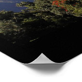 Live Aloha Poster (Hoek)