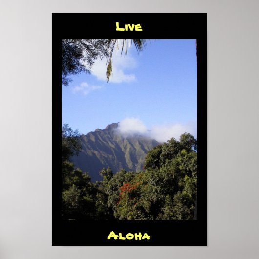 Live Aloha Poster (Voorkant)