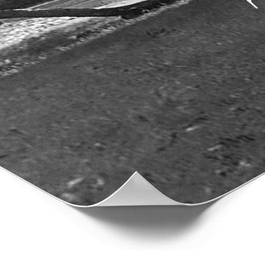 Live eekbomen Proverb Poster afdrukken (Hoek)