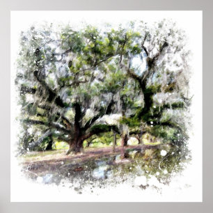 *~* Live eik New Orleans Living Oaks Art Painting Poster