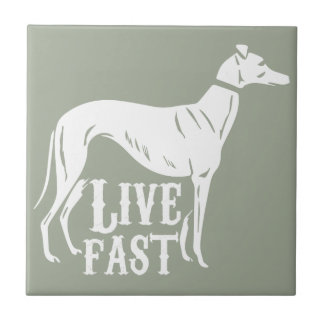 Live Fast Tegeltje