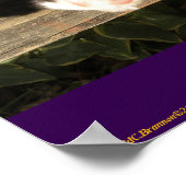 "Live Free", Smiler, cute, cat, gift Poster (Hoek)