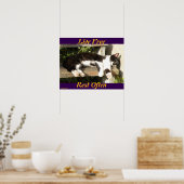 "Live Free", Smiler, cute, cat, gift Poster (Keuken)
