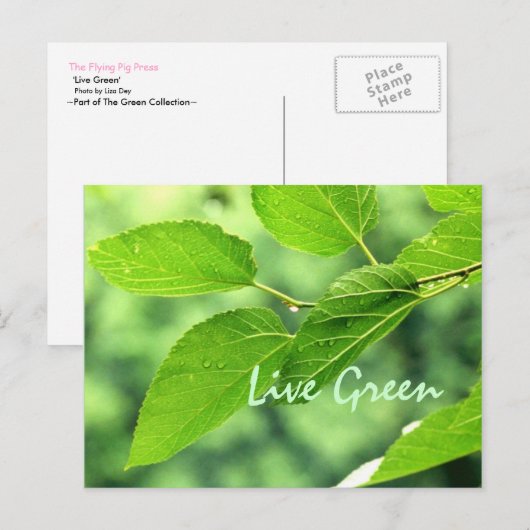 "Live Green"-Briefkaart Briefkaart (Voorkant / Achterkant)