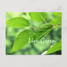 "Live Green"-Briefkaart