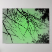 Live Green Poster (Voorkant)