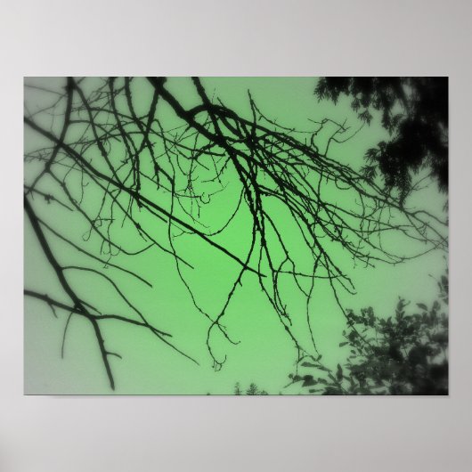 Live Green Poster (Voorkant)