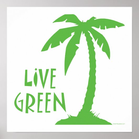 Live groen - palmboom poster (Voorkant)