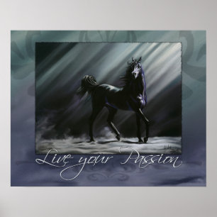 Live je passie poster