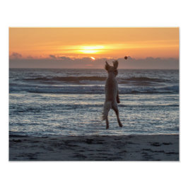 "Live Large" Beach Sunset Photo Print (14 x 11 inc Foto Afdruk