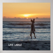 "Live Large" Beach Sunset Poster (12 x 12 inch) (Voorkant)