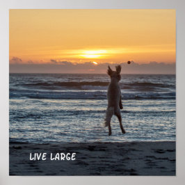 "Live Large" Beach Sunset Poster (12 x 12 inch)