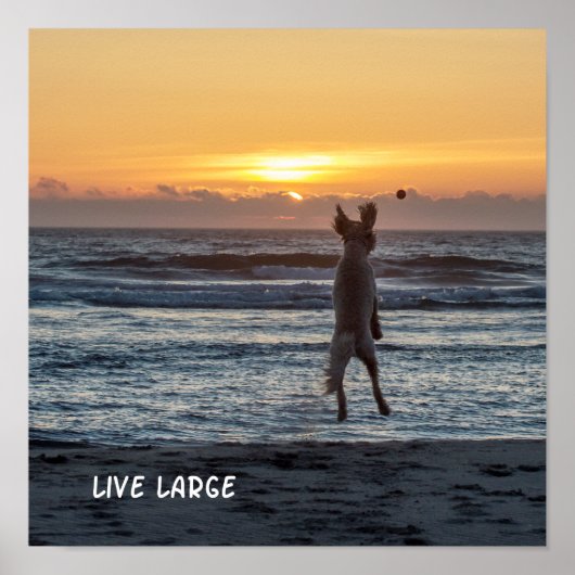 "Live Large" Beach Sunset Poster (12 x 12 inch) (Voorkant)