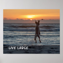 "Live Large" Beach Sunset Poster (14 x 11 inch)