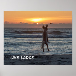 "Live Large" Beach Sunset Poster (14 x 11 inch)
