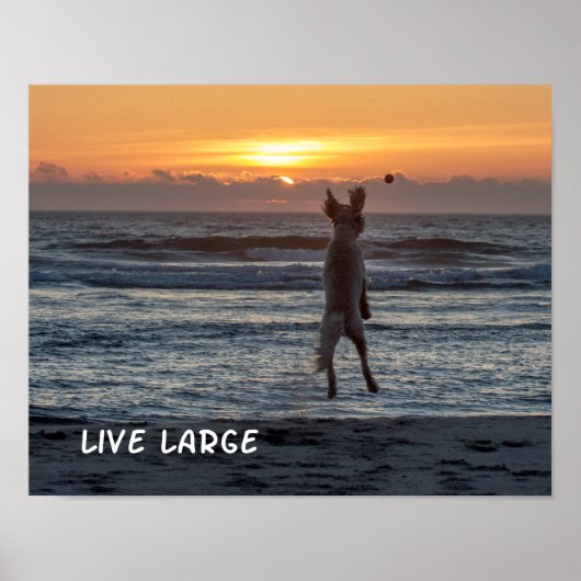 "Live Large" Beach Sunset Poster (14 x 11 inch) (Voorkant)
