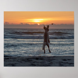 "Live Large" Beach Sunset Poster (14 x 11 inch)