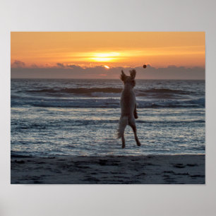 "Live Large" Beach Sunset Poster (14 x 11 inch)
