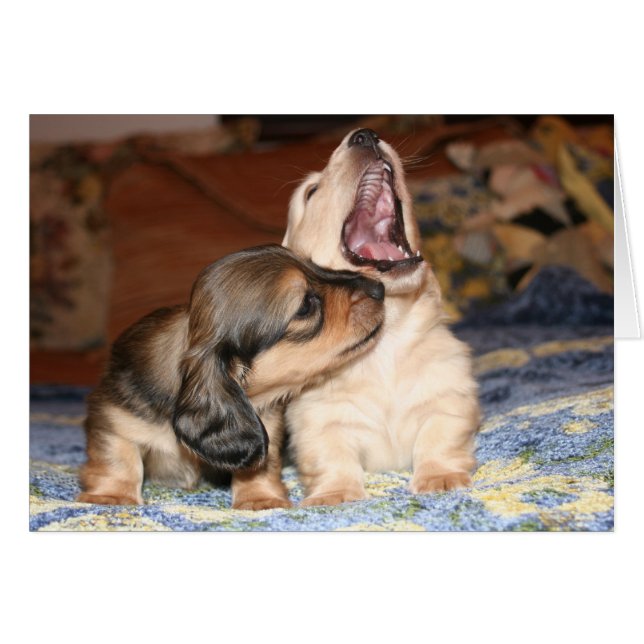 Live, Laugh, Love (Voorkant Horizontaal)