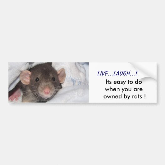 Live, Laugh, Love Bumpersticker (Voorkant)