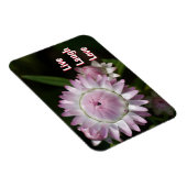 Live Laugh Love Daisy Magnet Magneet (Rechterzijde)