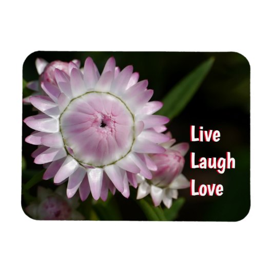 Live Laugh Love Daisy Magnet Magneet (Horizontaal)