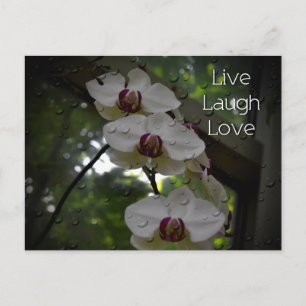 Live Laugh Love-Orchid Briefkaart