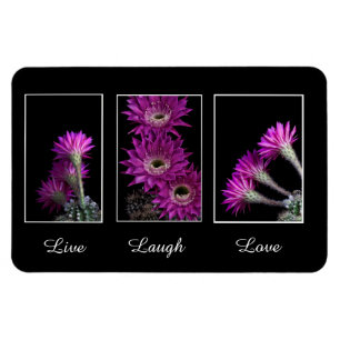 Live, Laugh, Love trio of Cactus bloemen Magneet