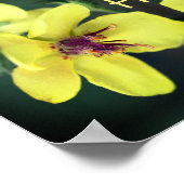 Live Laugh Love Wildflower Abstract Inspirerend Poster (Hoek)