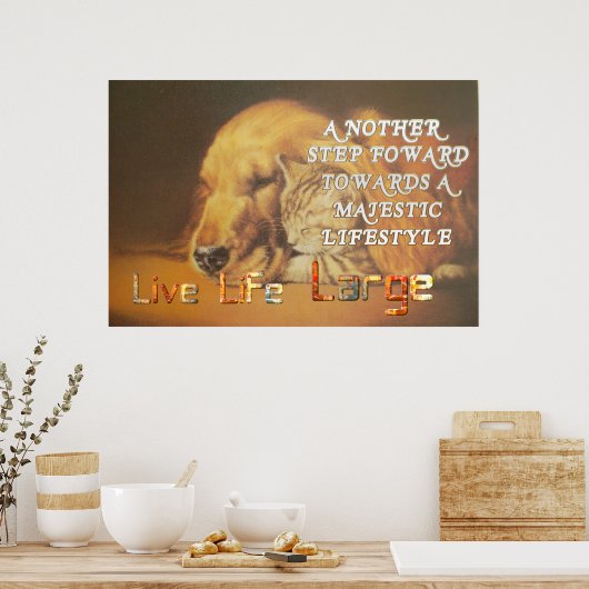 Live Life Large heeft een leuke dag kat en hond-ku Poster (Keuken)