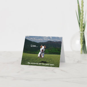 "Live Like Someone Left the Gate Open" Note Cards Kaart