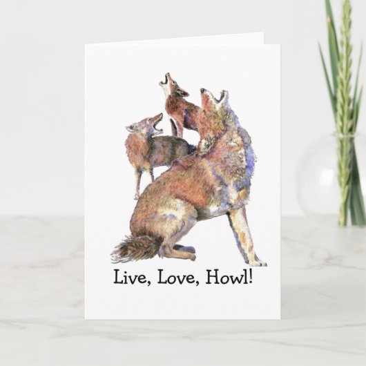 Live, Love, Howl, Fun Howling Coyotes Animal quote Kaart (Voorkant)