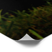 Live, Love, Kick Poster (Hoek)