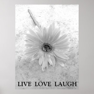 Live Love Laugh Black en White Gerber Daisy Poster
