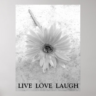 Live Love Laugh Black en White Gerber Daisy Poster