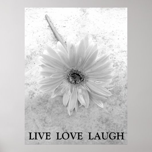 Live Love Laugh Black en White Gerber Daisy Poster (Voorkant)