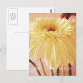 Live Love Laugh Gerbera Flower Light Grunge Briefkaart (Voorkant / Achterkant)