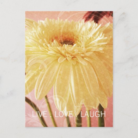 Live Love Laugh Gerbera Flower Light Grunge Briefkaart (Voorkant)