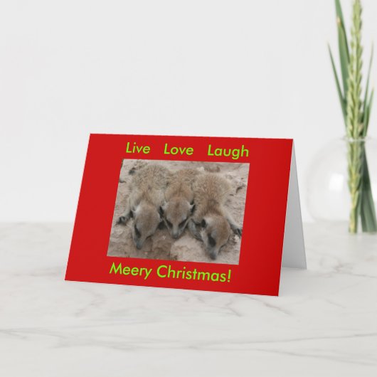 Live Love Laugh - Meerkat Feestdagen Kaart (Voorkant)